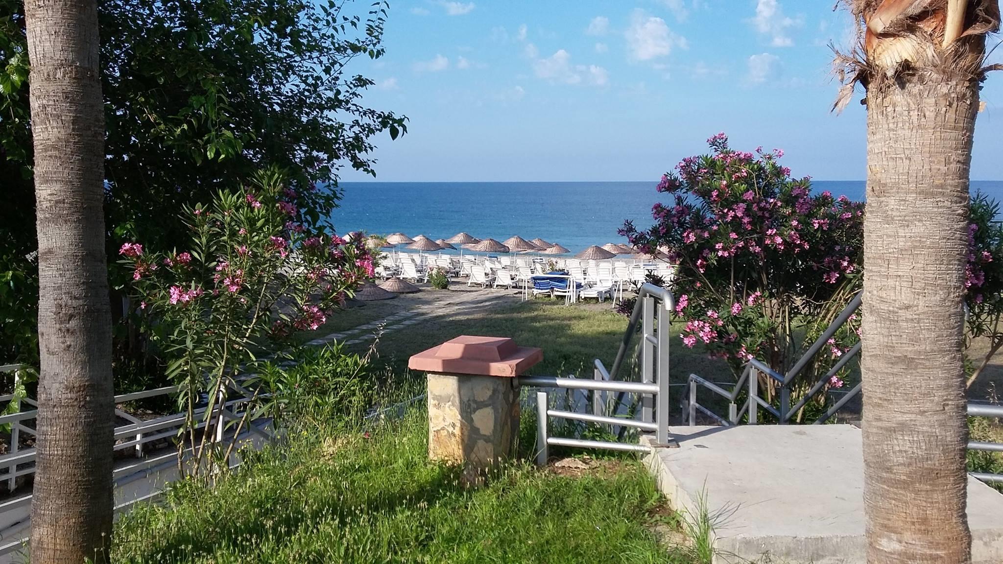 Sun Fire Beach